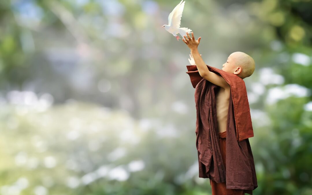 The Ripple Effect of Kindness: How One Act Can Transform Your Life and Health