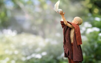 The Ripple Effect of Kindness: How One Act Can Transform Your Life and Health