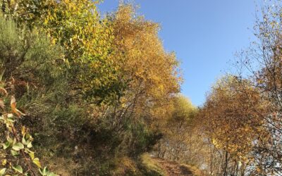 From Summer Motivation to Autumn Consistency